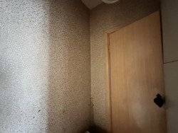 �������! 1 ��. �������� 40� ���. ������( ���������), �-� �������. ���� 4