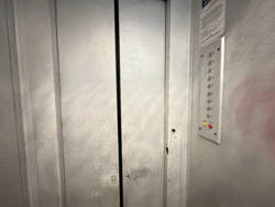 �������! 1 ��. �������� 40� ���. ������( ���������), �-� �������. ���� 11