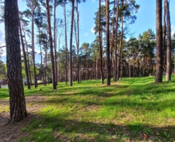 Продам 1 кімнатну квартиру в новобудові біля парку Ялівщина фото 2 Продам 1 кімнатну квартиру в новобудові біля парку Ялівщина фото 2