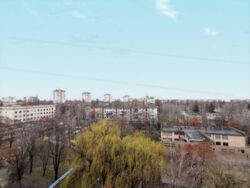 ��������� �������� ���� 13