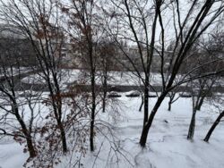 Продам 2 ком рынок Нива Сиверский Сертификат. фото 10 Продам 2 ком рынок Нива Сиверский Сертификат. фото 10