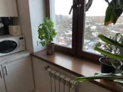 ��������� �������� ���� 6