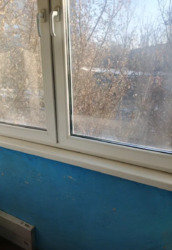 ��������� �������� ������� ��., �������, ����������� ���� 18