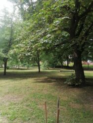 ������ 1��� (������). ���� 9