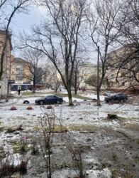 ��������� �������� ���� 11