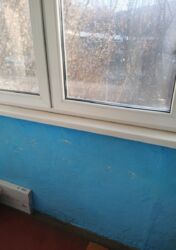 ��������� �������� ������� ��., �������, ����������� ���� 17