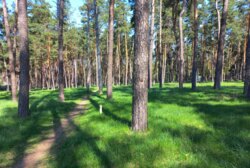 Продається квартира Чернігівська, Чернігів, Лісна, 42 фото 2 Продається квартира Чернігівська, Чернігів, Лісна, 42 фото 2