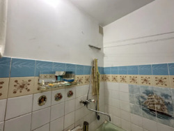 �������! 1 ��. �������� 40� ���. ������( ���������), �-� �������. ���� 6