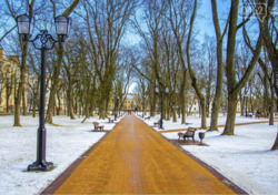 ��������� �������� ���� 20