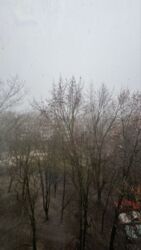 ��������� ������! 1� �� ����������� ����������! �³���������. ���� 12