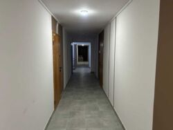 ��������� �������� ���� 3