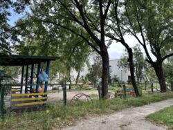 �������! 1 ��. �������� 40� ���. ������( ���������), �-� �������. ���� 14