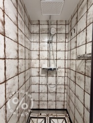 ���������� ��������� �������� �� ���������� �������, ���. �����������, 56-� ���� 20