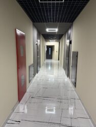  2- ..       , . / .  3