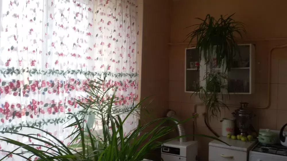 ��������� �������� ����������, �������, ������� ���� 1