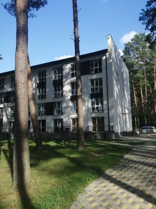 ��������� �������� ���������, ���. ��������������, �� Forest Apart, ����, �������, �������� ���� 1