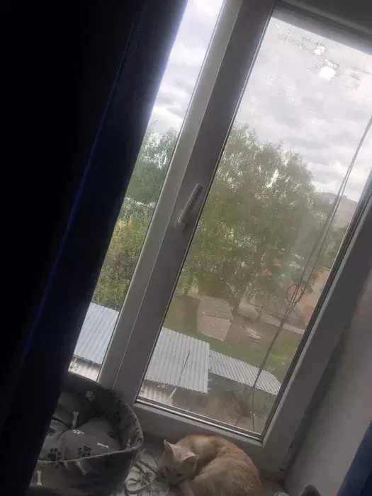 Продается квартира Сумская, Сумы, / гуртожиток фото 1 Продается квартира Сумская, Сумы, / гуртожиток фото 1