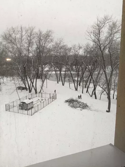 Продается квартира Сумская, Сумы, Заречный, Свободи пр-т, 16 корп.5 фото 1 Продается квартира Сумская, Сумы, Заречный, Свободи пр-т, 16 корп.5 фото 1