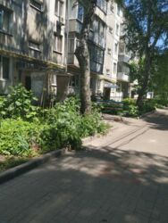 ��������� �������� ����������� ���., ����, �������, ������������ ���� 1