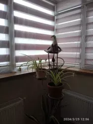 Продается квартира Сумская, Сумы, Заречный, Прокофьєва фото 11 Продается квартира Сумская, Сумы, Заречный, Прокофьєва фото 11