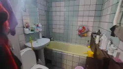 ��������� �������� ���������, 9, ����, �������, �������� ���� 8