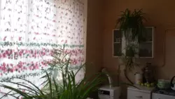 ��������� �������� ����������, �������, ������� ���� 1