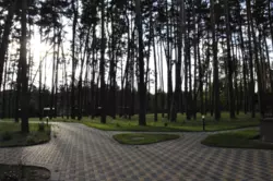 Продается квартира Сумская, Сумы, Ковпаковский, Баранівка, ЖК Forest Apart фото 14 Продается квартира Сумская, Сумы, Ковпаковский, Баранівка, ЖК Forest Apart фото 14