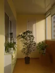 Продается квартира Сумская, Сумы, Заречный, Заливна, 1/1 фото 7 Продается квартира Сумская, Сумы, Заречный, Заливна, 1/1 фото 7