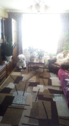 Продается квартира Сумская, Сумы, Заречный, 12 мкр. фото 14 Продается квартира Сумская, Сумы, Заречный, 12 мкр. фото 14