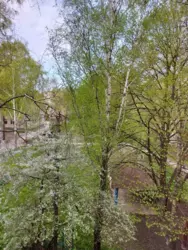 Продается квартира Сумская, Сумы, Ковпаковский, центр фото 14 Продается квартира Сумская, Сумы, Ковпаковский, центр фото 14