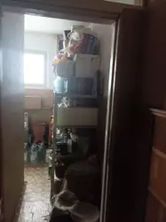 Продается квартира Г Крут, Сумы, Сумская, Заречный фото 7 Продается квартира Г Крут, Сумы, Сумская, Заречный фото 7