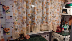 Продается квартира Сумская, Сумы, Заречный, Химгородок фото 5 Продается квартира Сумская, Сумы, Заречный, Химгородок фото 5