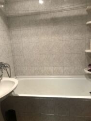 3к Черепіна фото 8 3к Черепіна фото 8