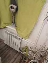 ��������� �������� ���������, ����, �������, �������� ���� 6