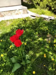 Продается квартира Сумская, Роменский, Ромны фото 6 Продается квартира Сумская, Роменский, Ромны фото 6