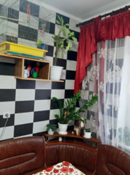 Продается квартира Сумская, Сумы, Заречный, 10 мкр. фото 5 Продается квартира Сумская, Сумы, Заречный, 10 мкр. фото 5