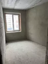   , , ,   , . , 41   6