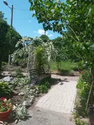   , , ,   MC Donald's  7