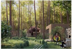   , ,  ,  Forest Apart  5