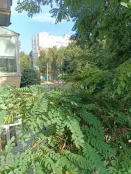 Продается квартира Сумская, Сумы, Ковпаковский, пр-т Шевченко фото 10 Продается квартира Сумская, Сумы, Ковпаковский, пр-т Шевченко фото 10