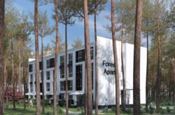   , ,  ,  Forest Apart  2