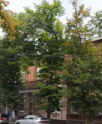 3к фото 2 3к фото 2