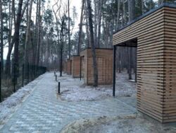   , ,  ,  Forest Apart  6