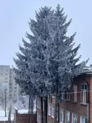 ��������� �������� ��-� ��������, 129 �, ����, �������, ������������ ���� 8