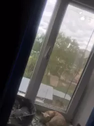 Продается квартира Сумская, Сумы, / гуртожиток фото 1 Продается квартира Сумская, Сумы, / гуртожиток фото 1