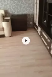 ��������� �������� �����, �����, ����, �������, �������� ���� 6