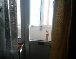 Продается квартира Сумская, Сумы, Заречный, Химгородок фото 6 Продается квартира Сумская, Сумы, Заречный, Химгородок фото 6