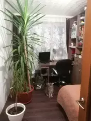 2-кімнатна біля парку Казка фото 2 2-кімнатна біля парку Казка фото 2