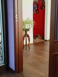 Продается квартира Сумская, Роменский, Ромны, Терновецька, 22 а фото 5 Продается квартира Сумская, Роменский, Ромны, Терновецька, 22 а фото 5