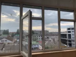   , , , :    , , 13   2